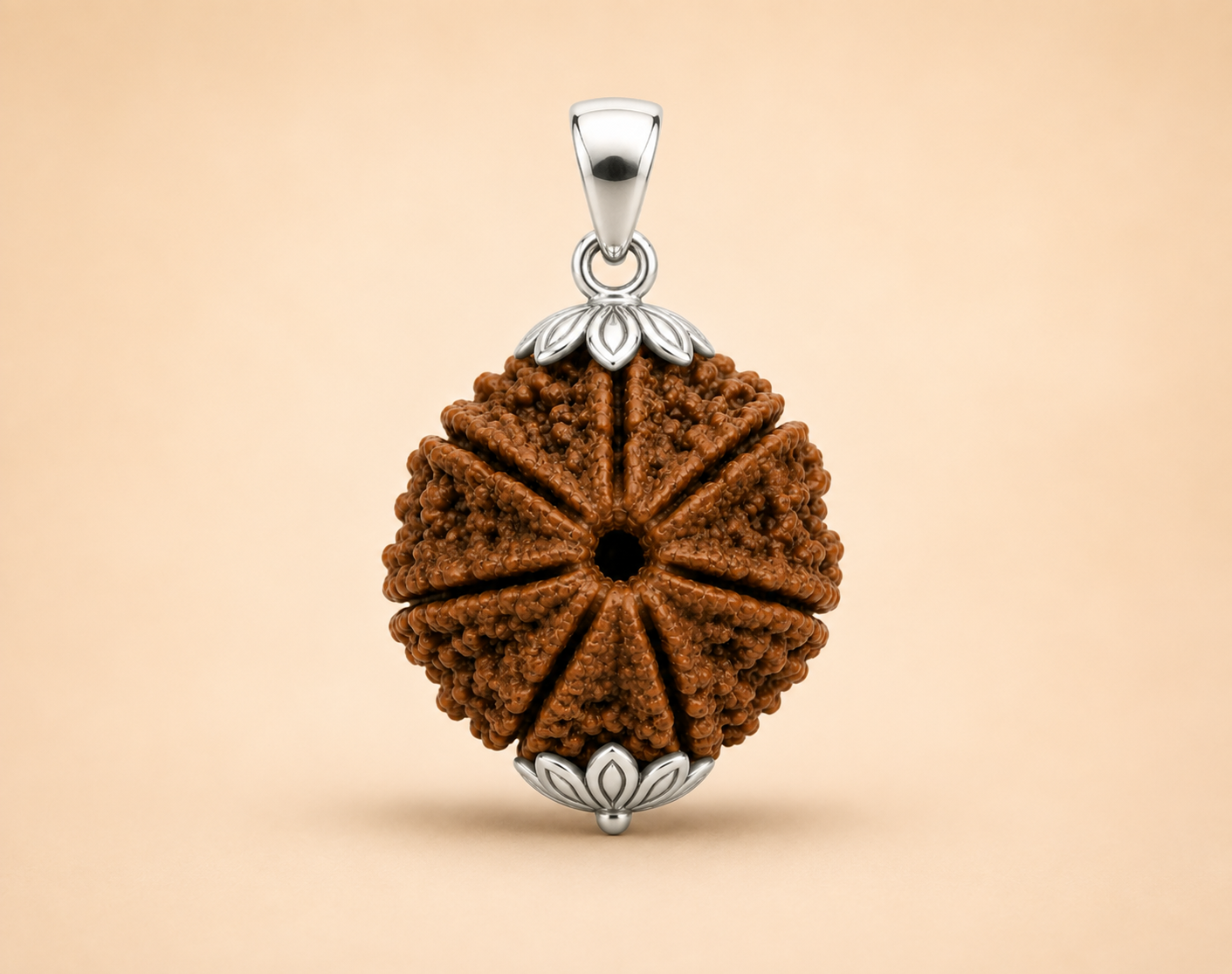7 Mukhi Rudraksha ( Nepal Origin )